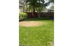 245 S Madison Ave, Dunellen Boro, NJ 08812-1411
