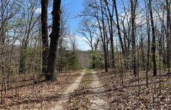 24755 MAYAPPLE Lane, Lebanon, MO 65536