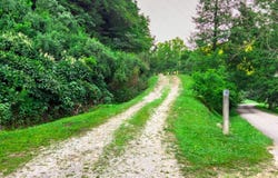 3071 KY Route 40 W, Staffordsville, KY 41256