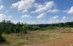 Jonesboro, AR 72401