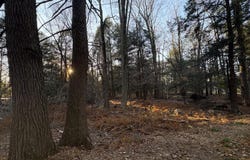 1 Cobblewood Road, Newfoundland, PA 18445