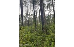 S 315/ KENWOOD, Interlachen, FL 32148