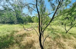 3105 Morris Sheppard Drive, Brownwood, TX 76801