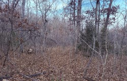 N Dade 173, Greenfield, MO 65661