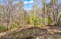 Lot 9 East Ridge Lane, Ellijay, GA 30536