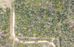 114TH CIR, Live Oak, FL 32060