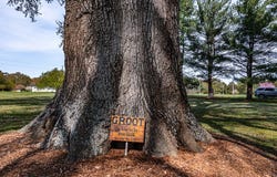 150 East Harbor Drive, Reedville, VA 22539