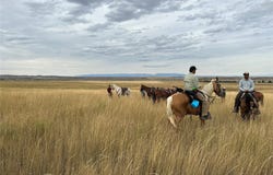 57 South Barber Rd, Ryegate, MT 59036
