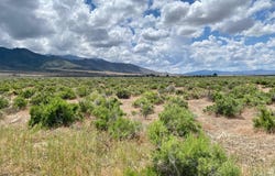 11655 Shasta Lake Road, Lovelock, NV 89419