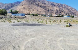 Golden Willow & Cottonwood, Walker Lake, NV 89415