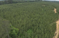 Old Pickens Rd, Kosciusko, MS 39090