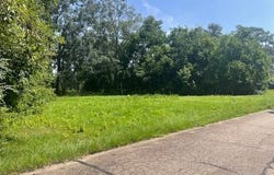 607 Willow St, Denham Springs, LA 70726