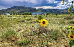 227 Red Feather Road, South Fork, CO 81154