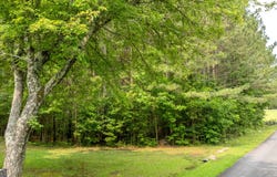 Lot S Sunset, Summerville, GA 30747