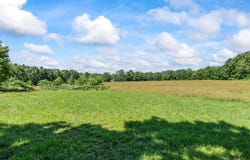 290 Rutherford Rd, Oakham, MA 01068