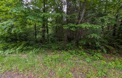 DAVIES RD lot: 4, Phelps, WI 54554