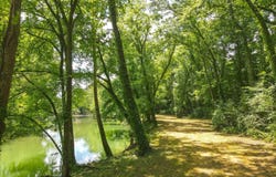 US-412, Linden, TN 37096