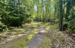 5327 Tote Road, Comins, MI 48619