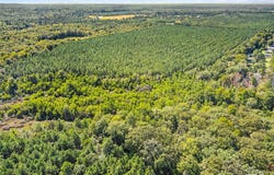157 Highway 157, Princeton, LA 71067