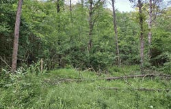 Gale Court, Wisconsin Dells, WI 53965
