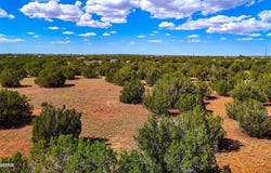 8730 Coronado Drive, Show Low, AZ 85901