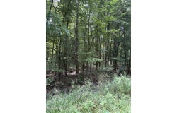 E River Road, Anguilla, MS 38721