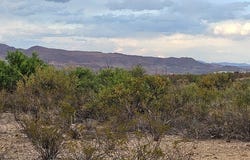 495 War Zone Rd, Terlingua, TX 79852
