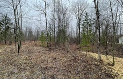 LOT 54 PINEVIEW DRIVE, MANCELONA, MI 49659