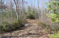 0 Upper Back Creek Road, Monterey, VA 24465
