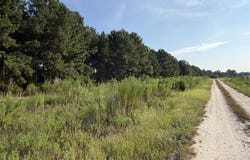 Highway 296, Stapleton, GA 30823