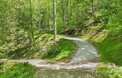 LT 5B Von Trapp Lane unit: 5B, Tuckasegee, NC 28783