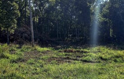 000 Tbd Pine Ridge Ln Lane, Mountain Grove, MO 65711