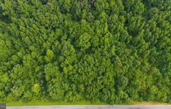 BURNT MILL Road, RIDGELY, MD 21660