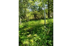 (B) Gager Rd, Engadine, MI 49827