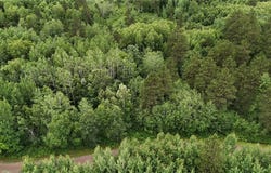 0 Dana Road, Barnes, WI 54873
