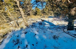 Mining Claim Access, Basin, MT 59631