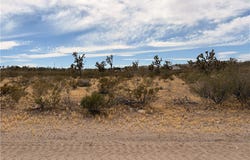 17773 Laurel Drive, Dolan Springs, AZ 86441