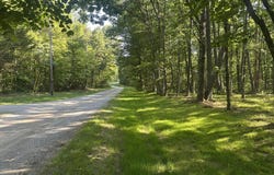 Running Deer, Crab Orchard, TN 37723
