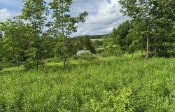 270 County Highway 54, Springfield, NY 13320