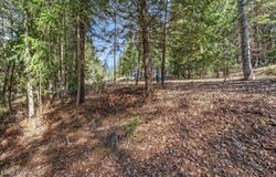 Nna Hanaford (Lot 11) Rd., Blanchard, ID 83804