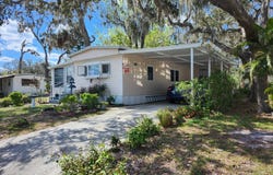 10704 MAYAKA LOOP, RIVERVIEW, FL 33569