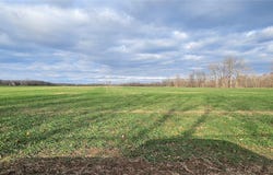 State Route 96A, Romulus, NY 14541