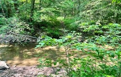 Coperas Cave Branch, Beattyville, KY 41311