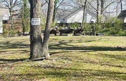 1220 & 1221 Ash Street, Conway, AR 72034