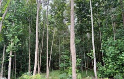 292 Overlook Dr lot: 20, Spencer, TN 38585