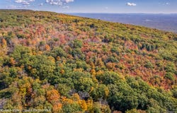 Bottling Works Road, Cragsmoor, NY 12420