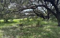 Frantz Road, Cat Spring, TX 78933
