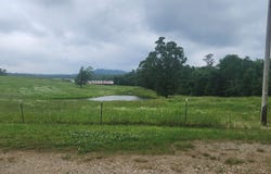 TBD Murphy Rd, Norman, AR 71960-9999