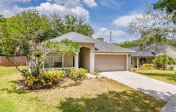 412 HENDERSON AVENUE, SEFFNER, FL 33584