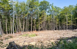 Lot 1 Hemlock Estates, Pittston, ME 04345